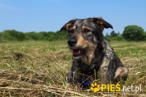 Heidi.Naprawdę martwy jest ten,kogo nie ma już w naszym sercu...