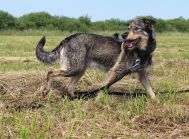 Heidi.Naprawdę martwy jest ten,kogo nie ma już w naszym sercu...