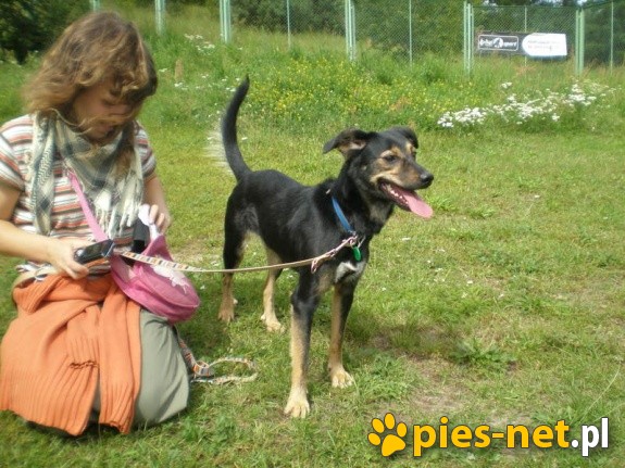 Fiesta.Zmień mój świat...