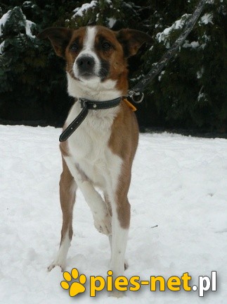 Chudy.Ty druha we mnie masz!